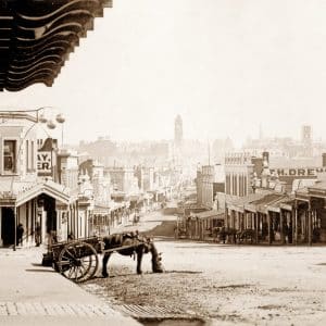 BMI Image Collection | Printed Image request